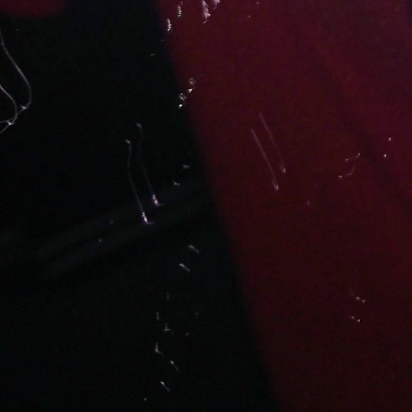 Meet your Posher, Noah - Picture 1 of 1